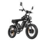 Ridstar Q20Pro 2000W Fat Tire Electric Bicycle - Image 5